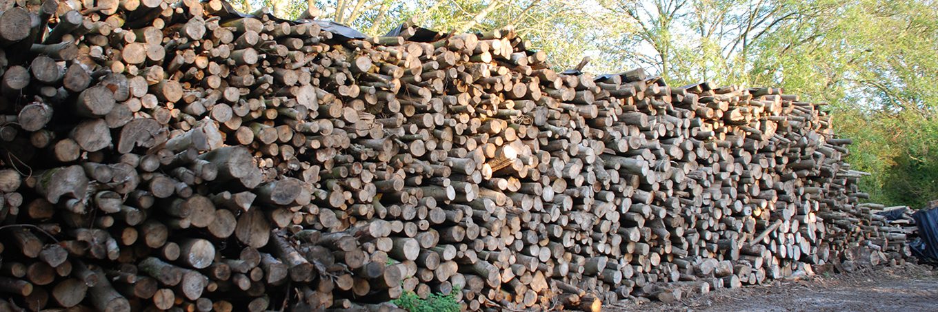 Naturally Seasoned Wood